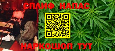 дмт Будённовск