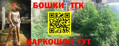 дмт Будённовск