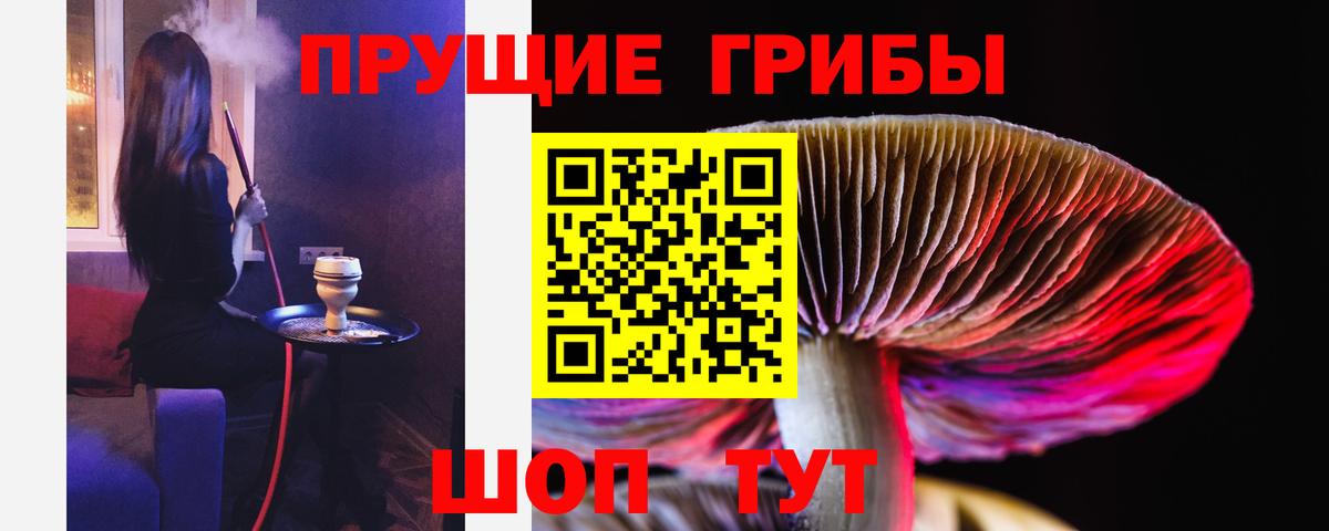 Кинешма  Галлюциногенные грибы Psilocybine cubensis  Вход с VPN 